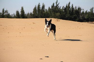 Fireshine Games宣布旗下八款游戏参加科隆游戏展